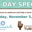 Operation Turkey flyer